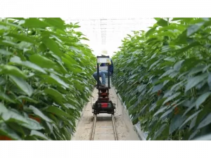 معرفی تجهیزات smart agriculture