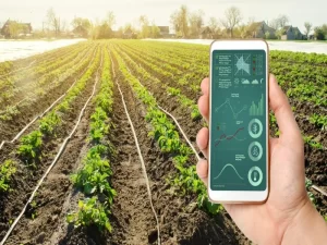 کاربرد های هوش مصنوعی در کشاورزی
